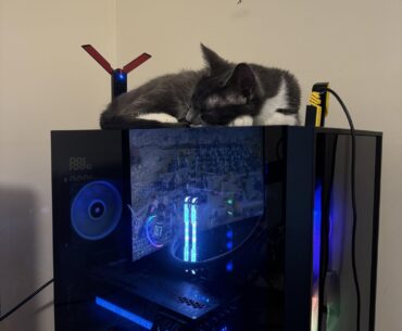 If it fits I sits
