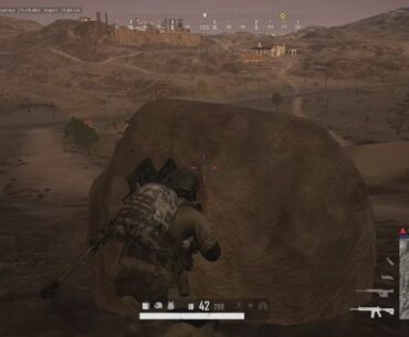 Lynx 2 Skull
