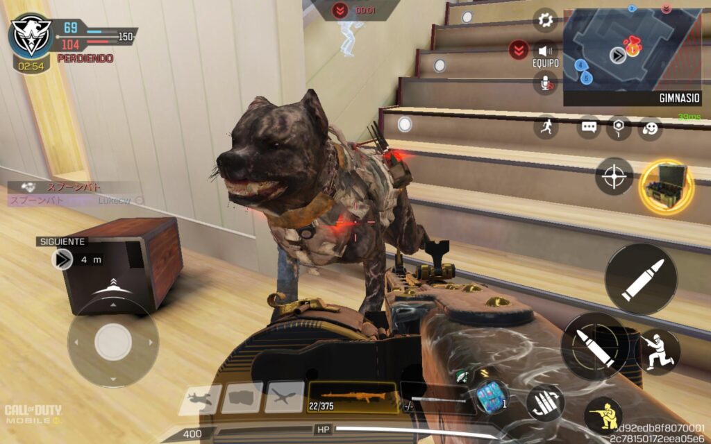 Chilling dog
