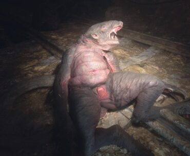 is this the Moo Dong everyone talking about? (Metro Exodus)