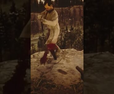 RDR 2 | Tumbling down #rdr2 #reddeadredemption #gaming