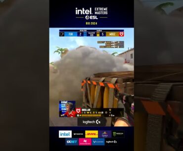 Brollan tore FURIA apart