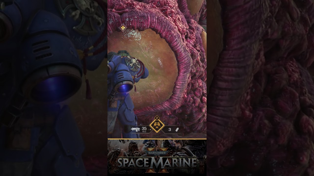 With Pleasure! | Warhammer 40K Space Marine 2 #spacemarine2 With Pleasure! | Warhammer 40K Space Marine 2 #spacemarine2