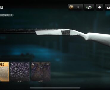 First platinum I’ve got (Lockwood 300)