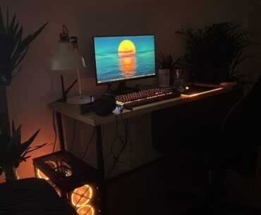 My tropical vibe