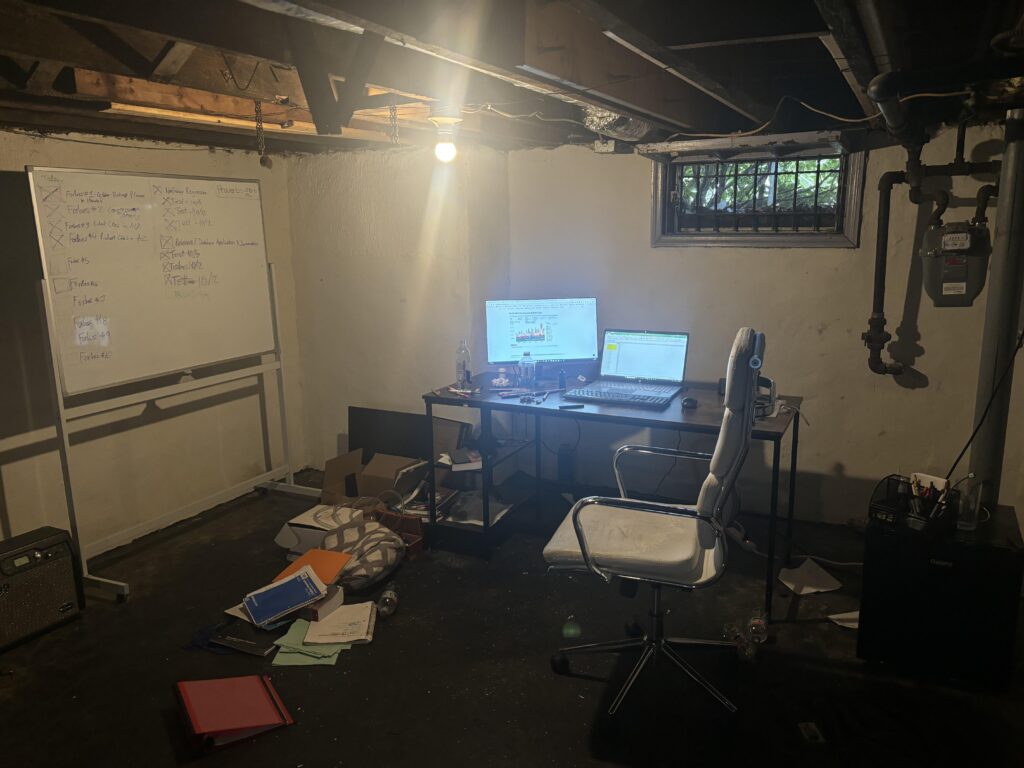 Newly established basement dweller