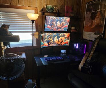 [Update] Took your advice and gave it all to the cat.