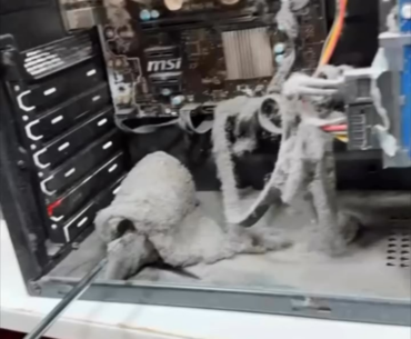 Big cleaning job on