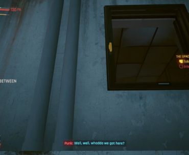 Ever went through the window before?