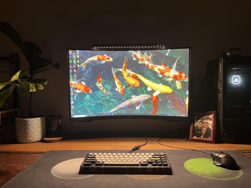 Curves & koi’s