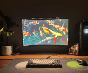Curves & koi’s