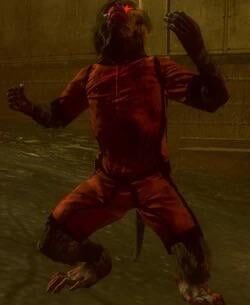 Can monkeys drop quick revive? (Ascension)