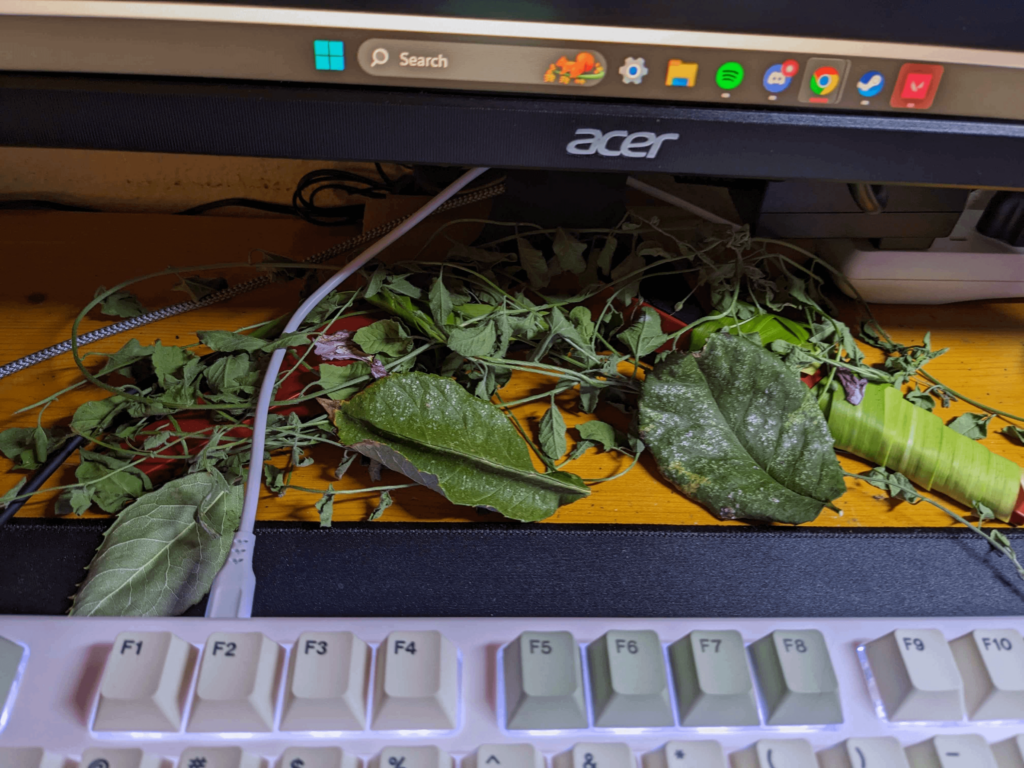 Please convince my friend that this is not normal
