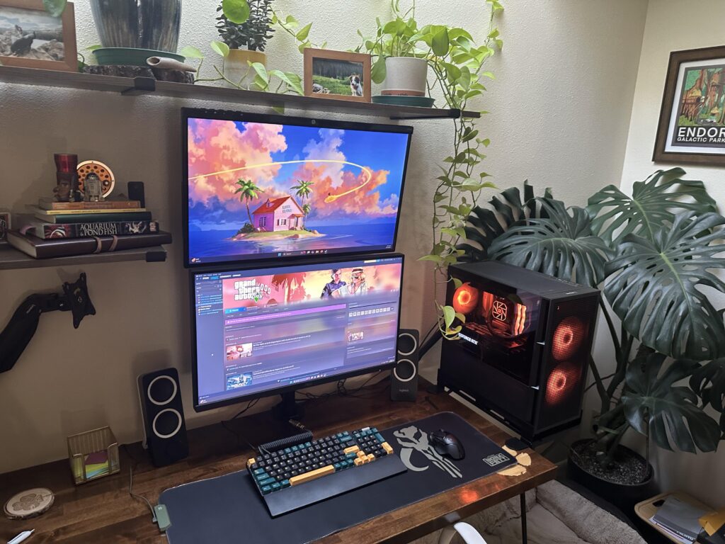 Last post was removed because I mentioned my age so here is a picture of my setup…once again.