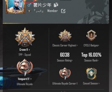 How do I change the flag on my account? There is no option in the social player card section