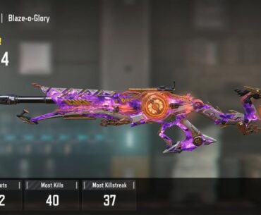 What weapons have you renamed?