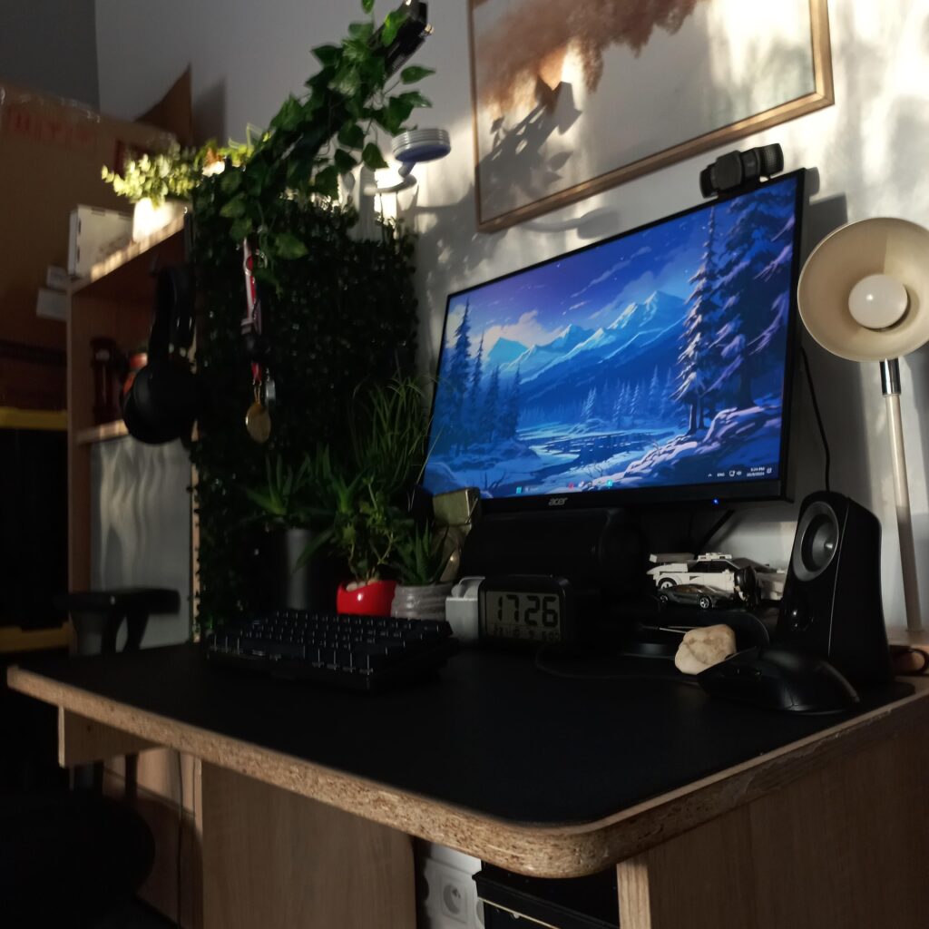 Setup