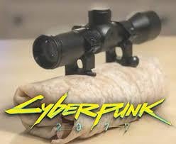 Cyberpunk 2077: When your burrito is too powerful to handle without a scope