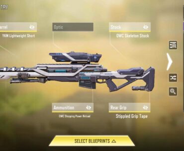 Do you guys have certain blueprints that just makes you a much better player with any given gun?