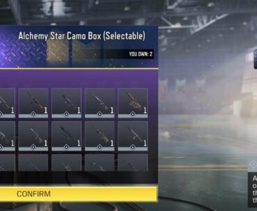 Which gun should get the camo?
