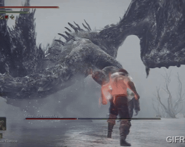 Drunk australian kicks local dragon to death