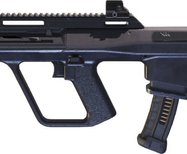 What gun does make you interested, no matter how bad it is or good you use it in rank matches and why?
