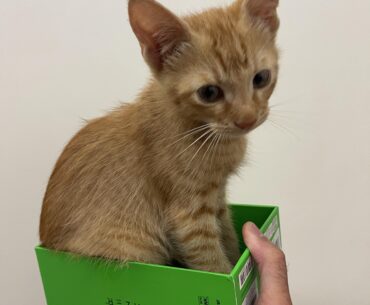 Hey guys, i was sent the wrong mouse