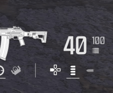 What gun is this...