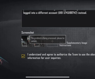 Can’t submit issue on PUBG