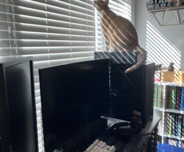 Mobo box keeps MOST of the litter out