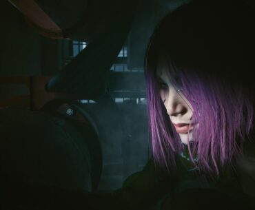 Over 200 hours, one last screenshot before getting the final trophy.