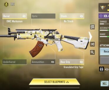 Which gun is better in the current meta