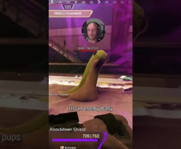 Harassed by a fluffy! #gaming #twitch #southafrica #apexlegends
