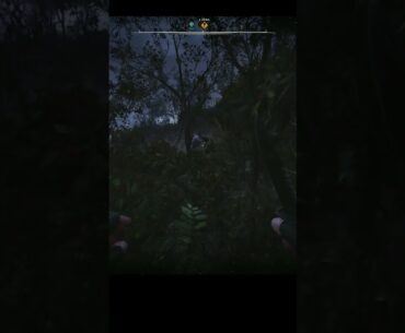 The Chernobyl stalker in Stalker 2 #shorts #short #game #gaming #fps #bodycam #viral #gameplay