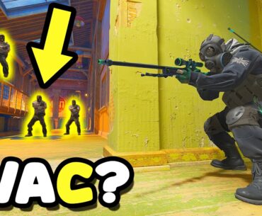 SHOCKING VAC Plays! - CS2 HIGHLIGHTS