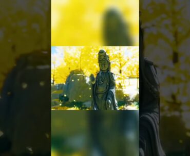 Pov: You stop playing fps games, you start playing storyline games.#gaming  #rdr2 #horizonzerodawn