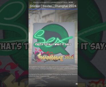 This Sticker Shouldn't Exist... #cs2 #counterstrike