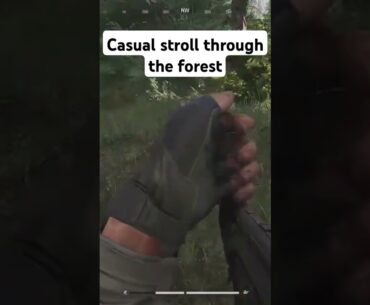 #gaming #arenabreakoutpc #fps #games #squadwipe