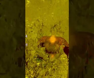 Jones Bones #serioussam #serioussam3 #serioussam3vr #serioussam3bfe #virtualreality #vr #fps #games