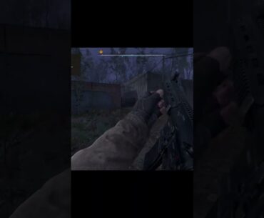 what was that - stalker 2 short #shorts #stalker2heartofchernobyl #firstpersonshooter