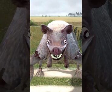 Zoochosis: The Beast Inside - Garry's Mod Edition