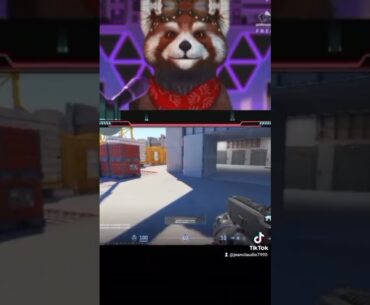 Counter-Strike 2,jogos,jogando,tiros,shorts,guaxinimgame.3