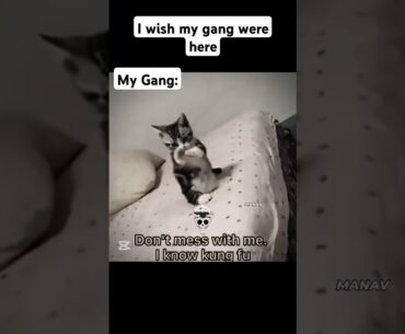 I wish they were here #gamingmemes #funny #games #fpsgames #games #gameshorts #memes #funnymemes