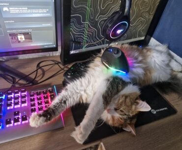 Is this a good mousepad ?