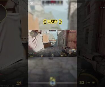CS2 USP #csgo #games #fpsgames #cs2 #CounterStrike  #omegagloves #butterfly # lore #ak47