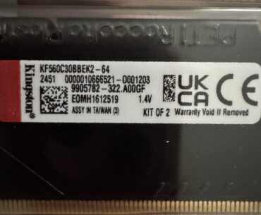 Kingston Fury Beast DDR5 6000 CL30 Die?