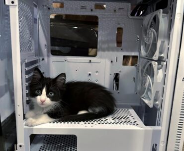 Guys something’s wrong with my pc
