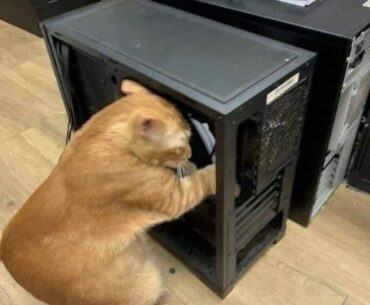 He’s upgrading your RAM.