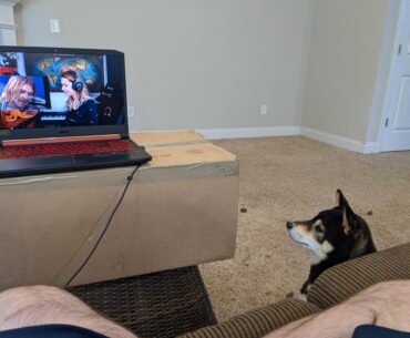 Laundry basket, box, laptop, and my copilot. And I'm definitely eating pizza rolls.