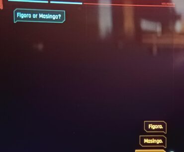 Which one should I pick?